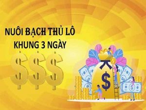 Nuôi lô bạch thủ khung 3 ngày đẹp