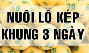 Nuôi lô kép khung 3 ngày 247 miễn phí